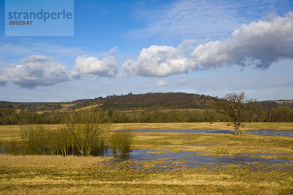 Wiesen überflutet von der Themse  flußabwärts von Henley-on-Thames  Oxfordshire  England  Vereingtes Königreich  Europa