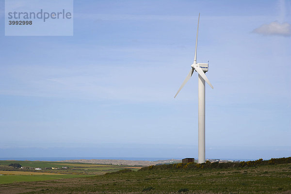 Carland Cross Windanlage  Cornwall  England  Vereinigtes Königreich  Europa