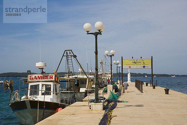 Hafen von Fazana mit Fischer- und Ausflugsbooten zu den Brijuni-Inseln  Istrien  Kroatien  Europa