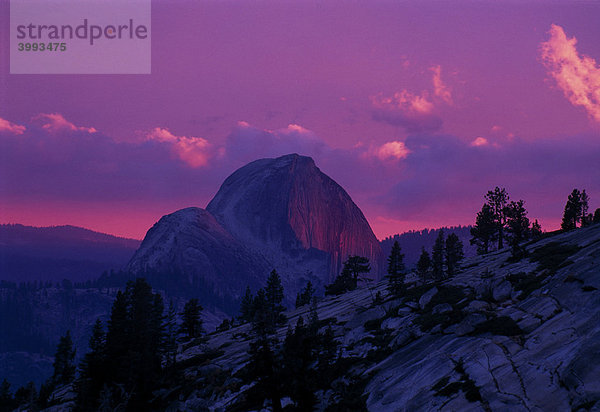 Halfdome im Abendrot  Yosemite-Nationalpark  Kalifornien  USA  Nordamerika