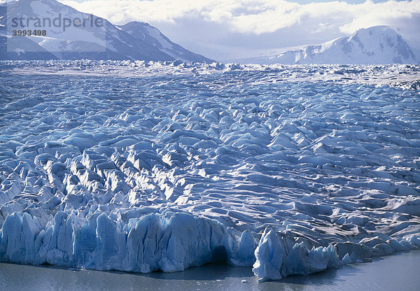Blick auf die Abbruchkante des Grey-Gletschers im Torres del Paine Nationalpark  Patagonien  Puerto Natales  RegiÛn de Magallanes y de la Ant·rtica Chilena  Chile  Südamerika