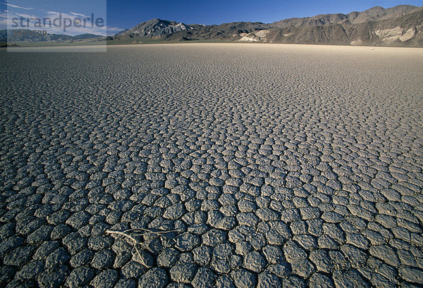 Der ausgetrockenete Grund eines ehemaligen Sees  Racetrack  The Playa  Death Valley Nationalpark  Lone Pine  California  USA