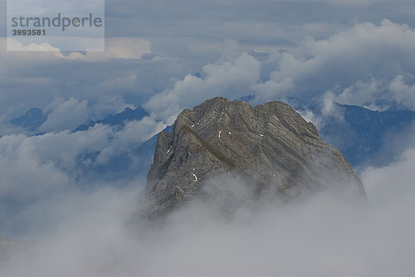 Berggipfel ragt aus den Wolken  Appenzeller Alpen  Kanton St. Gallen  Schweiz  Europa