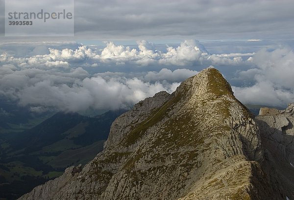 Blick über die Appenzeller Alpen am Säntis  2501 m über NN  Kanton St. Gallen  Schweiz  Europa