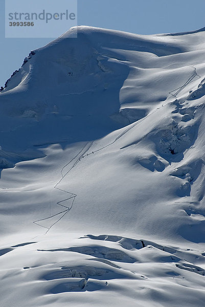 Bergsteiger-Seilschaft beim Abstieg am vergletscherten Berghang des Piz Palü  3900 m über NN  Berninagruppe  Bündner Alpen  Kanton Graubünden  Schweiz  Europa Kanton Graubünden