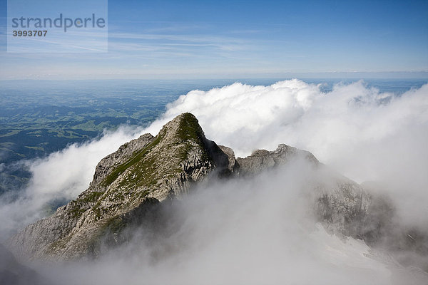 Blick vom Säntisgipfel  Kanton St. Gallen  Schweiz  Europa