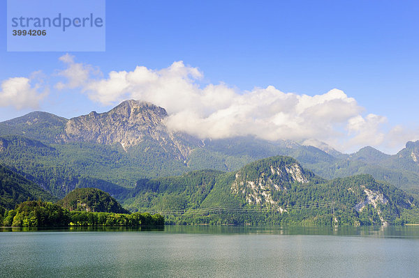 Morgenstimmung am Kochelsee  dahinter der Herzogstand  Landkreis Bad Tölz-Wolfratshausen  Bayern  Deutschland  Europa