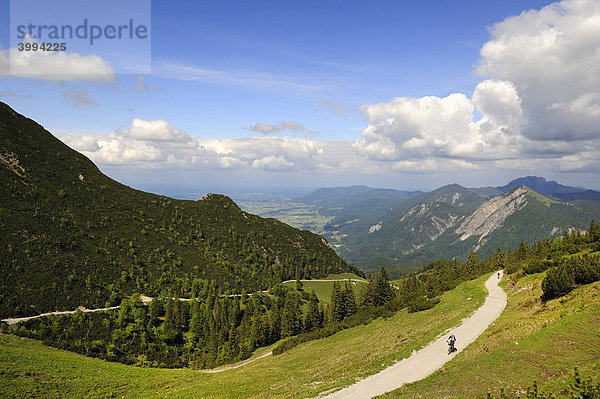 Wanderweg zum Herzogstand  Landkreis Bad Tölz-Wolfratshausen  Bayern  Deutschland  Europa