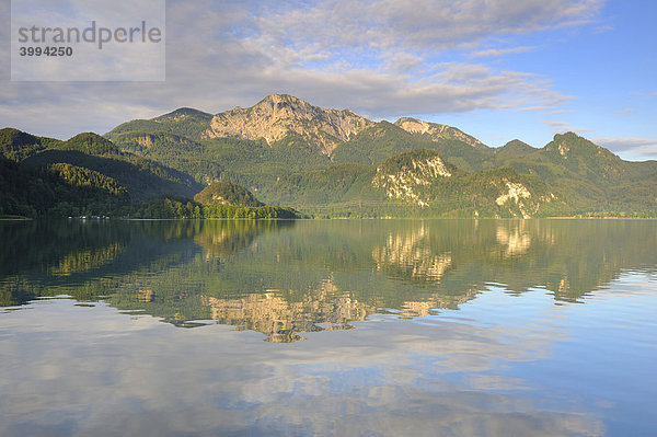 Morgenstimmung am Kochelsee  dahinter der Herzogstand  Landkreis Bad-Tölz-Wolfratshausen  Bayern  Deutschland  Europa