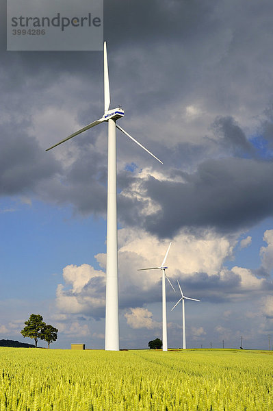 Windkraftanlagen mit Weizenfeld bei Stetten im Hegau  Landkreis Konstanz  Baden-Württemberg  Deutschland  Europa