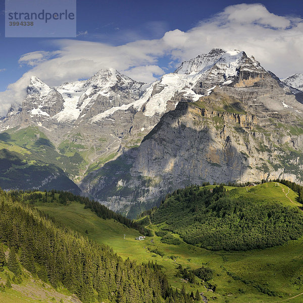 Blick hinab zum Allmendhubel zu den Berner Alpen mit Eiger  Mönch und Jungfrau  Kanton Bern  Schweiz  Europa