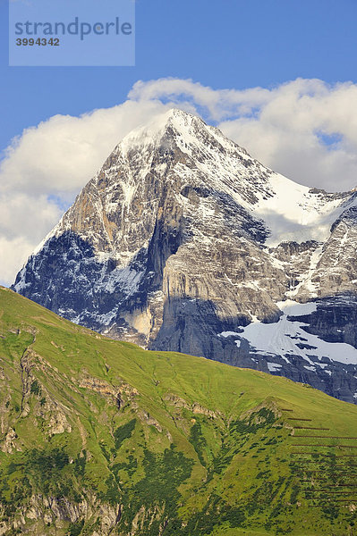 Blick von Westen auf den Westgrat und die Nordwand vom Eiger  Kanton Bern  Schweiz  Europa