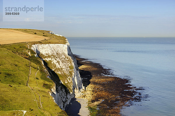 Blick auf die Kreidefelsen von Dover  Grafschaft Kent  England  Großbritannien  Europa