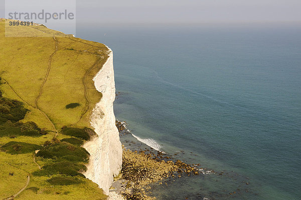 Blick auf die Kreidefelsen von Dover  Grafschaft Kent  England  Großbritannien  Europa