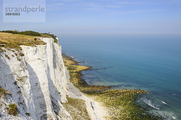 Blick auf die Kreidefelsen von Dover  Grafschaft Kent  England  Großbritannien  Europa