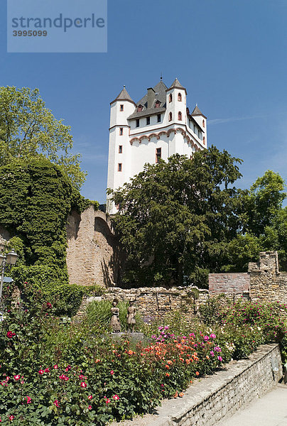 Kurfürstliche Burg Eltville der Erzbischöfe von Mainz  Eltville  Hessen  Deutschland  Europa