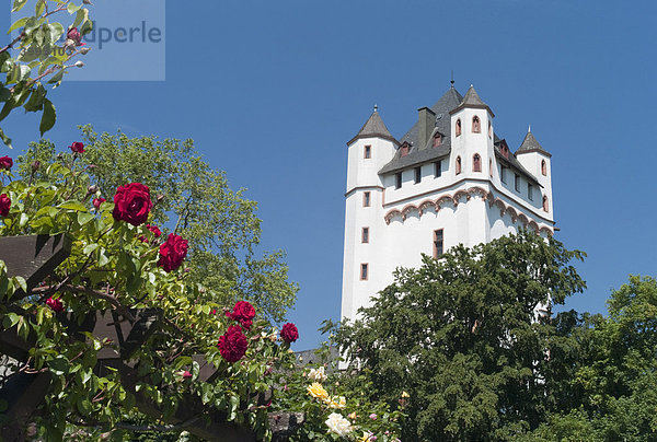 Kurfürstliche Burg der Erzbischöfe von Mainz  Eltville  Hessen  Deutschland  Europa