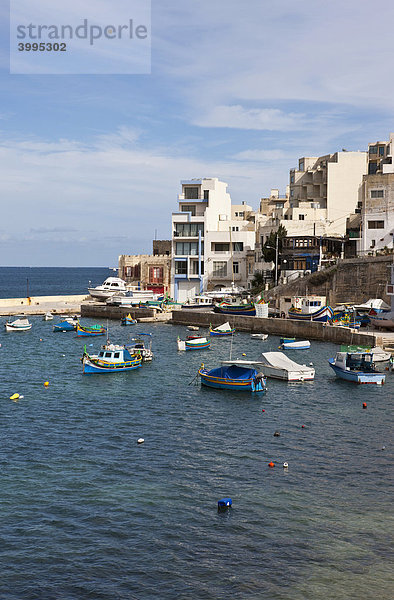 Das Örtchen Bugibba an der St Paul's Bay  Malta  Europa