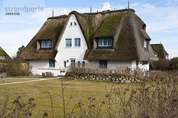 Typisches Reetdachhaus  Keitum  Sylt  nordfriesische Insel  Schleswig-Holstein  Deutschland  Europa