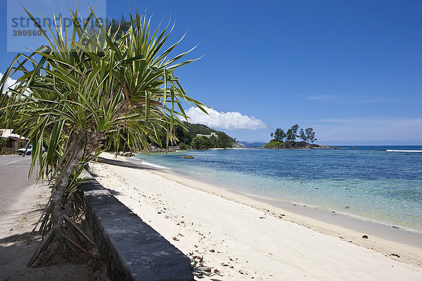 Anse L'Islette  Insel Mahe  Seychellen  Indischer Ozean  Afrika
