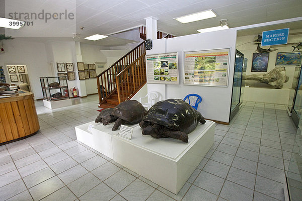 Natural History Museum an der Independence Avenue  Hauptstadt Victoria  Insel Mahe  Seychellen  Indischer Ozean  Afrika