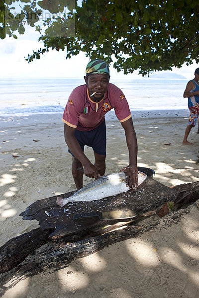Ein Fischer entschuppt seinen gefangenen Fisch  Beau Vallon Bay  Insel Mahe  Seychellen  Indischer Ozean  Afrika