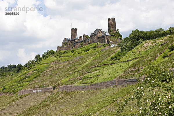Blick auf die Burg Thurant bei dem Moselstädtchen Alken  Alken  Rhein-Hunsrück-Kreis  Rheinland Pfalz  Deutschland  Europa