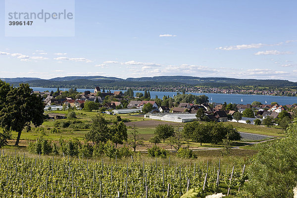 Blick auf Mittelzell  Insel Reichenau  Bodensee  Baden-Württemberg  Deutschland  Europa