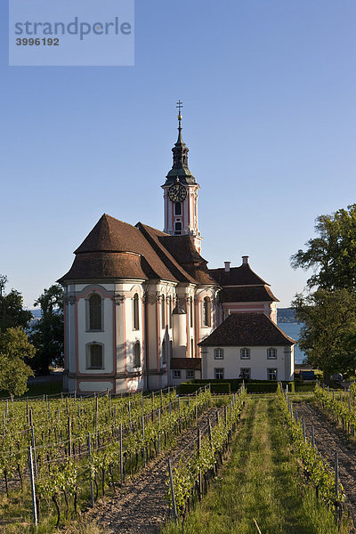 Die Basilika von Birnau  Birnau am Bodensee  Baden-Württemberg  Deutschland  Europa