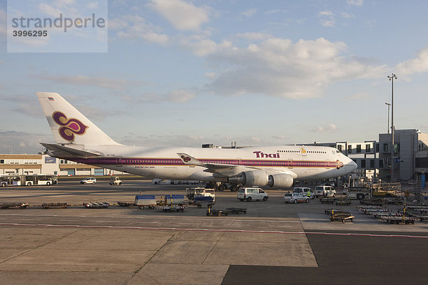 Eine Boeing 747 der Thai Airways am Flughafen Frankfurt  Hessen  Deutschland  Europa