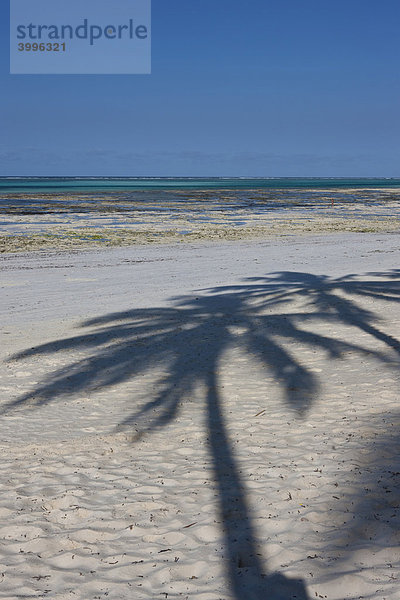 Schatten einer Palme am Strand  Hotel Karafuu Beach  Pingwe  Sansibar  Tansania  Afrika