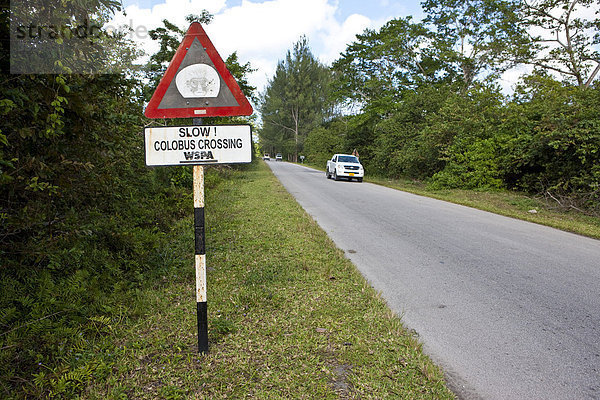 Hinweisschild auf langsame Fahrweise weil Affen am Jozani Forest die Straße kreuzen können  Sansibar  Tansania  Afrika