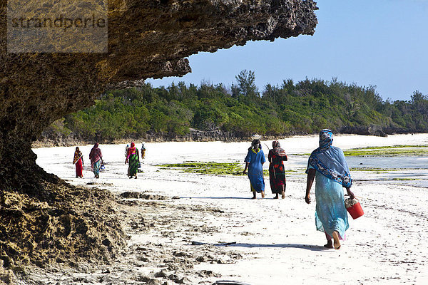 Frauen tragen ihren Fischfang in Eimern am Strand  Sansibar  Tansania  Afrika