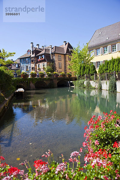 Altstadt  Colmar  Elsass  Frankreich  Europa