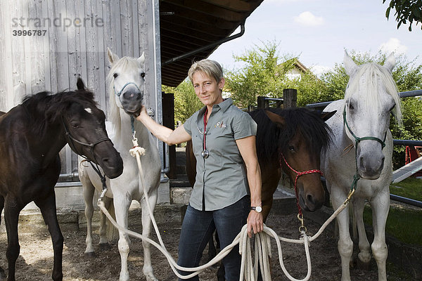 Großtierärztin mit ihren vier Pferden  Steinmaur  Zürich  Schweiz  Europa