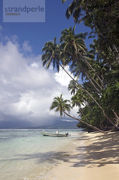 Palmenstrand  Qamea  Fidschi-Inseln  Fiji  Südsee  Ozeanien