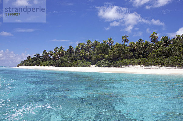 Insel Nanuku Levu  Fidschi-Inseln  Fiji  Südsee  Ozeanien