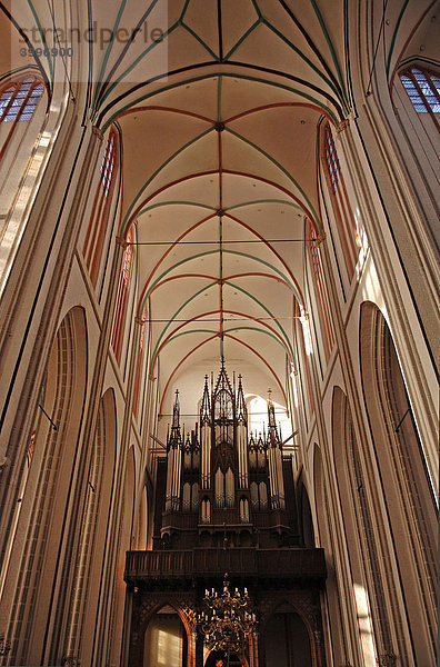 Deckengewölbe und Orgel des Schweriner Doms  Schwerin  Mecklenburg-Vorpommern  Deutschland  Europa