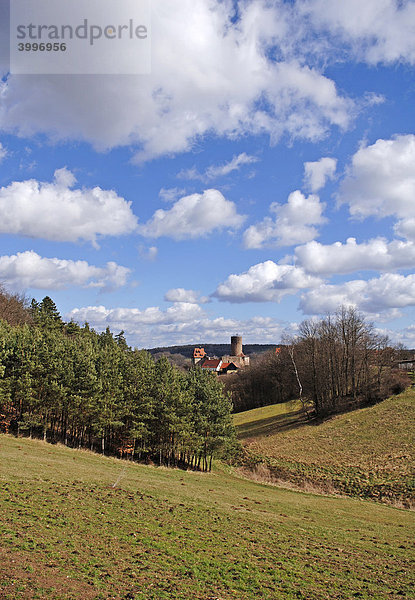 Burgruine in der Landschaft  Burgthann  Mittelfranken  Bayern  Deutschland  Europa