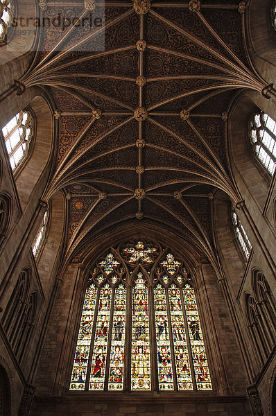 Gotisches Kreuzgewölbe mit Fenster in der Kathedrale  Hereford  England  Europa