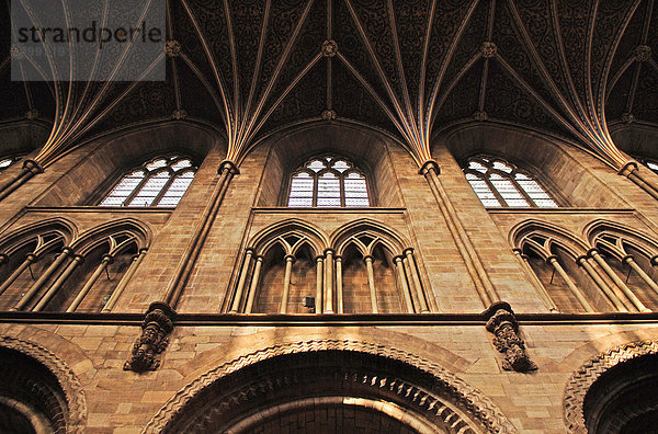 Wand einer gotischen Kathedrale  Hereford  England  Europa