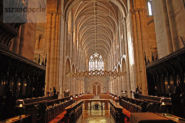 Gotisches Kreuzgewölbe in der Kathedrale  Hereford  England  Europa
