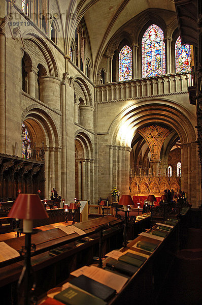 Romanischer Innenraum der Kathedrale  vorne Chorgestühl  Hereford  England  Europa