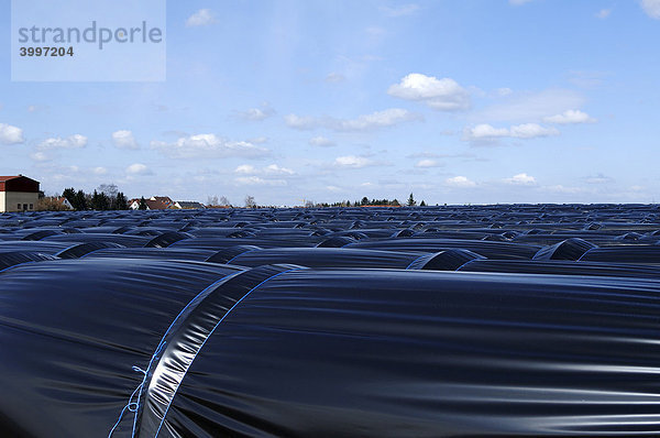 Schwarze Folientunnel für Frühgemüse im Knoblauchsland  Nürnberg  Mittelfranken  Bayern  Deutschland  Europa