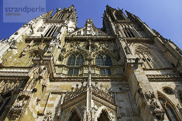 Restaurierte Hauptfassade vom Dom St. Peter  Regensburg  Oberpfalz  Bayern  Deutschland  Europa