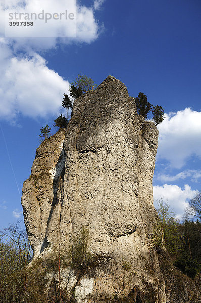 Ruine der Felsburg und Wahrzeichen von Bärnfels  Bärnfels  Oberfranken  Bayern  Deutschland  Europa
