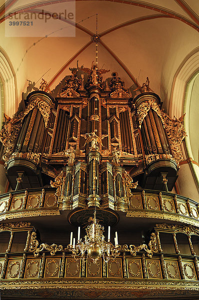 Große Renaissance Orgel in der St. Johannis-Kirche  Lüneburg  Niedersachsen  Deutschland  Europa