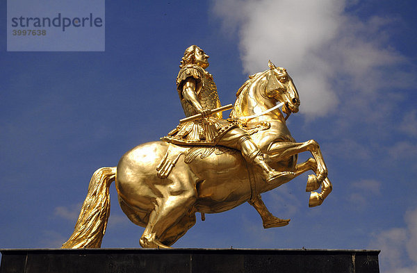 Goldenes Reiterstandbild August des Starken gegen blauen Himmel  Dresden  Sachsen  Deutschland  Europa