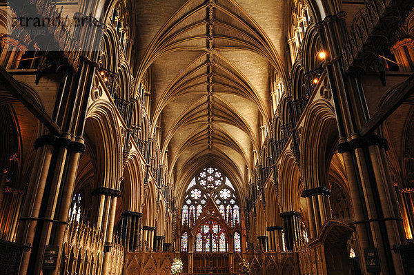 Kreuzgewölbe der Lincoln Cathedral  auch St. Mary's Cathedral  12. und 13. Jhd.  Gotik-Romanik  Minster Yard  Lincoln  Lincolnshire  England  Großbritannien  Europa