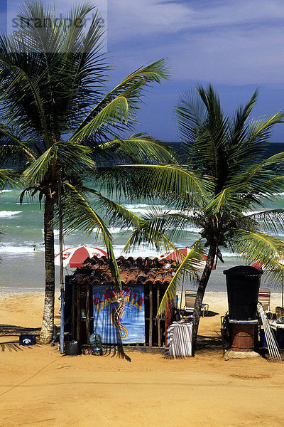 Hütte unter Palmen am Strand  Playa Guacuco an der karibischen Küste  Isla de Margarita  Karibik  Venezuela  Südamerika